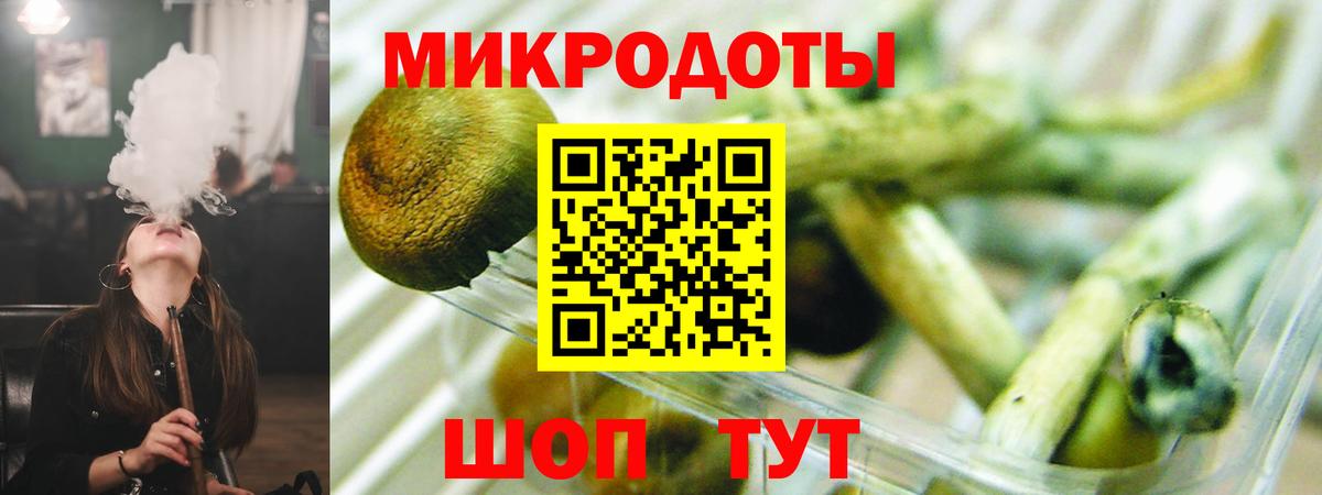 Псилоцибиновые грибы Psilocybine cubensis  Вход с VPN  Псилоцибиновые грибы прущие грибы  Зерноград 